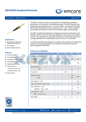 2651E-040-115-B datasheet - Broadband Photodiode