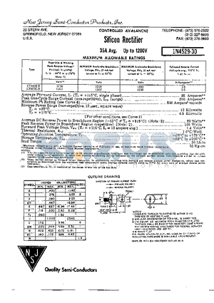 1N4529 datasheet - Silicon Rectifier