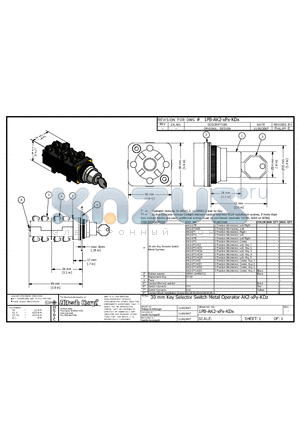 AK2-2POSR datasheet - 30 mm Key Selector Switch Metal Operator AK2-xPy-KDz