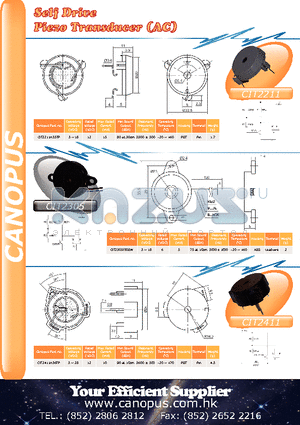 CIT2305 datasheet - Self Drive Piezo Transducer (AC)