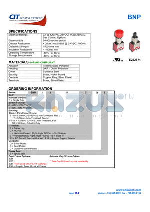 BNP10VHR datasheet - CIT SWITCH