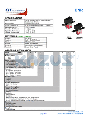 BNR13R1P3 datasheet - CIT SWITCH