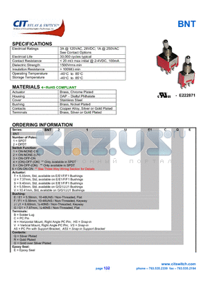 BNT25S datasheet - CIT SWITCH