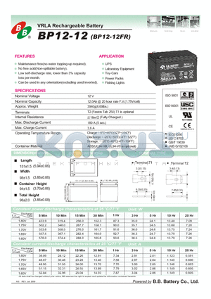 BP12-12 datasheet - VRLA Rechargeable Battery