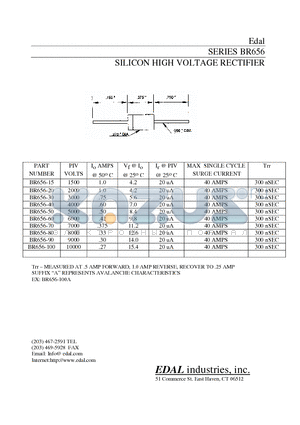 BR656-100 datasheet - SILICON HIGH VOLTAGE RECTIFIER