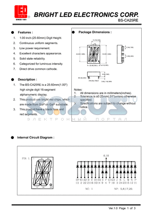 BS-CA25RE datasheet - 25.60mm(1.00) high single digit 16-segment