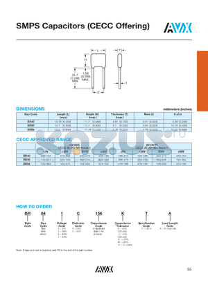 BR40 datasheet - SMPS Capacitors (CECC Offering)
