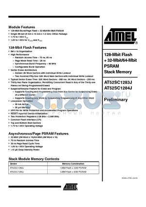 AT52SC1284J datasheet - 128-Mbit Flash  32-Mbit/64-Mbit