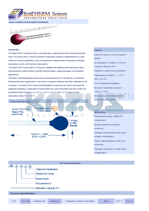 3K3A1B datasheet - Fast time response (1 second typical in