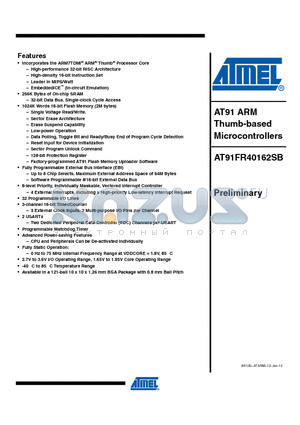 AT91FR40162SBPRE datasheet - Flash memory in a single compact 121-ball BGA package