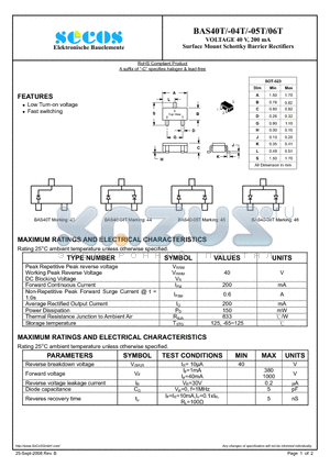 BAS04T datasheet - Surface Mount Schottky Barrier Rectifiers