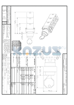 2AK2-07 datasheet - 22mm Non-Illuminated Mental Key Selector Switch Operator 2AK2-xx