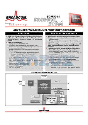 BCM3341_05 datasheet - ADVANCED TWO-CHANNEL VOIP COPROCESSOR