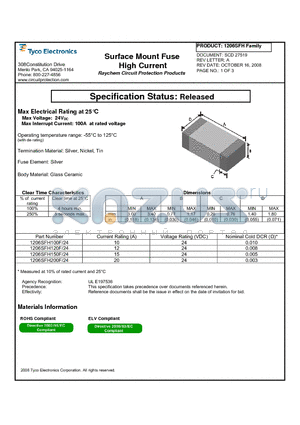 1206SFH100F/24 datasheet - Surface Mount Fuse High Current