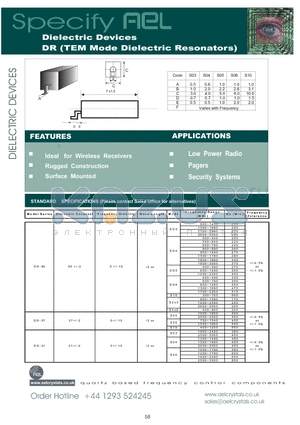 DR-21 datasheet - Dielectric Devices