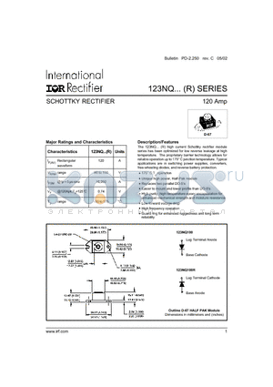 123NQ100 datasheet - SCHOTTKY RECTIFIER