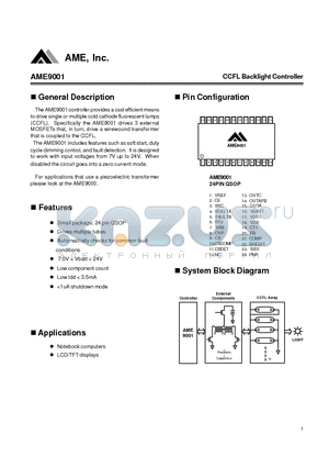 AME9001 datasheet - CCFL BACKLIGHT CONTROLLER