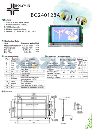 BG240128A datasheet - SMT PCB with metal frame Built-in controller T6963C