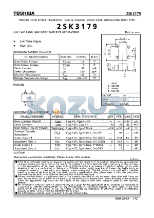 2SK3179 datasheet - N CHANNEL SINGLE GATE MODULATION DOPE TYPE )UHF~SHF BAND LOW NOISE AMPLIFIER APPLICATIONS)