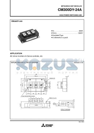 CM300DY-24A datasheet - HIGH POWER SWITCHING USE