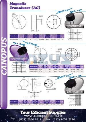 CMT0704A2730NP datasheet - Magnetic Transducer (AC)