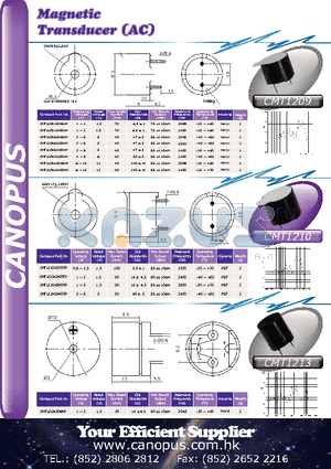 CMT1209H2400NP datasheet - Magnetic Transducer (AC)