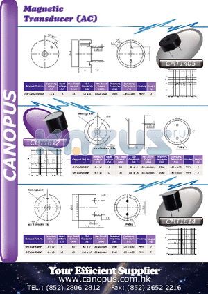 CMT1612H2048NP datasheet - Magnetic Transducer (AC)