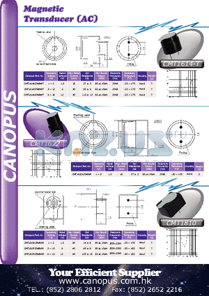 CMT1810H2048NPR datasheet - Magnetic Transducer (AC)