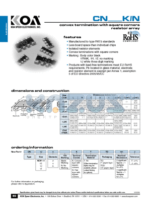 CN1E2KTTDD101F datasheet - convex termination with square corners resistor array