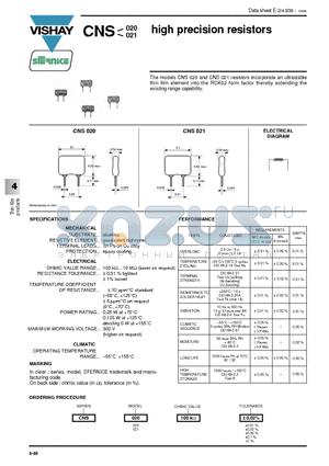 CNS021 datasheet - high precision resistors