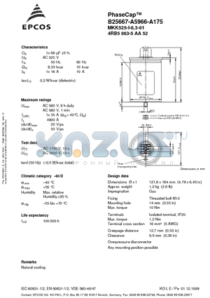 B25667-A5966-A175 datasheet - PhaseCap