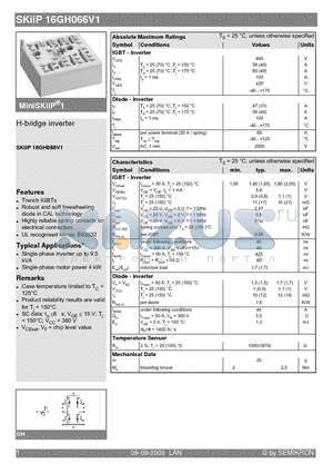 16GH066V1 datasheet - H-bridge inverter