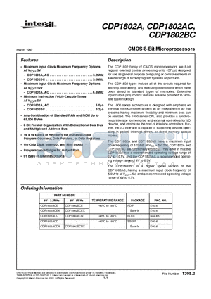 CDP1802ACQ datasheet - CMOS 8-Bit Microprocessors