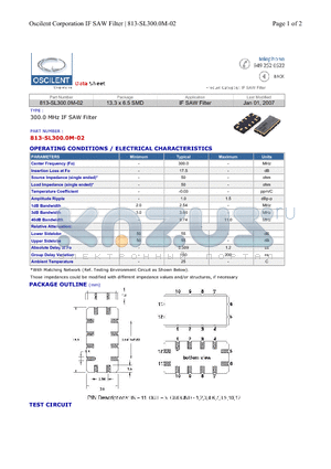 813-SL300.0M-02 datasheet - IF SAW Filter