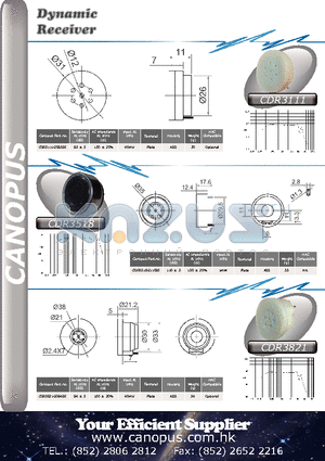 CDR3821G096BE datasheet - Dynamic Receiver