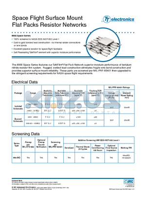 FP-8987SQ-05-1001-FG-0 datasheet - Space Flight Surface Mount Flat Packs Resistor Networks