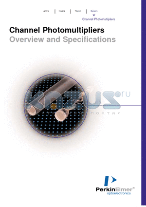 C1973 datasheet - Channel Photomultipliers