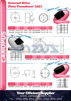 CPT2211C40TP datasheet - External Drive Piezo Transducer (AC)