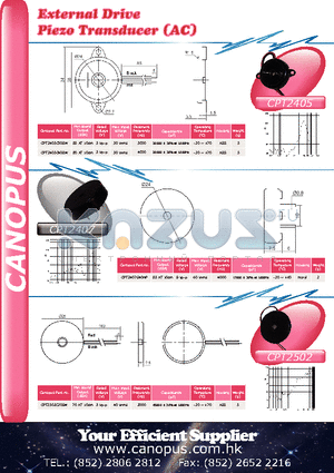 CPT2502C20BW datasheet - External Drive Piezo Transducer (AC)