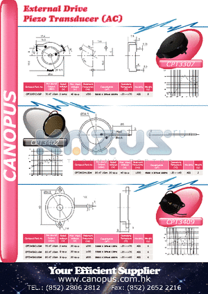 CPT3409C12BW datasheet - External Drive Piezo Transducer (AC)