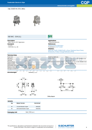 CQP datasheet - Clip, 6.3x32 mm, 30 A, BeCu