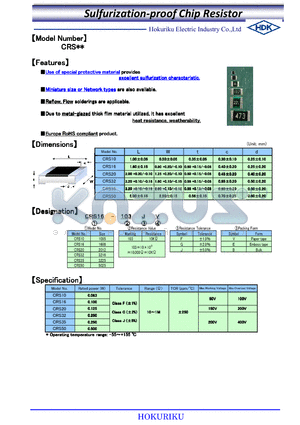 CRS-10103GE datasheet - Sulfurization-proof Chip Resistor
