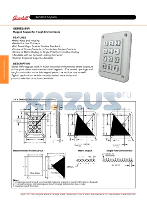 84R-AB2-000-PD datasheet - Rugged Keypad for Tough Environments