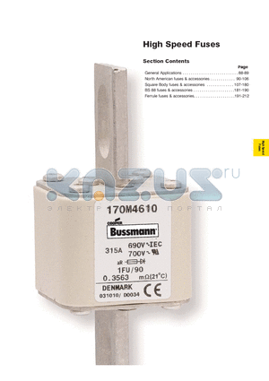 FWA-100B datasheet - High Speed Fuses