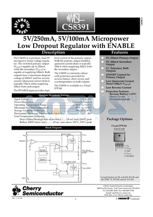 CS8391YDPR5 datasheet - 5V/250mA, 5V/100mA Micropower Low Dropout Regulator with ENABLE