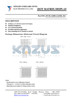 FYM-12881AX datasheet - DOTMATRIX DISPLAY