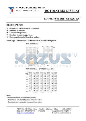 FYM-23881AXXX-1 datasheet - DOT MATRIX DISPLAY