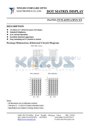 FYM-46581BXX-3 datasheet - DOTMATRIX DISPLAY