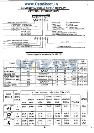 CST-313E datasheet - NUMERIC/ALPHANUMBERIC DISPLAY GENERAL INFORMATION