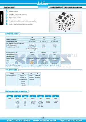 DSHVJ2320C101JN datasheet - SURFACE MOUNT CERAMIC SMD MULTI - LAYER HIGH VOLTAGE DSHV